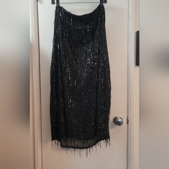 Wild Fable sequin fringe stretch lace strapless dress - Picture 6 of 16